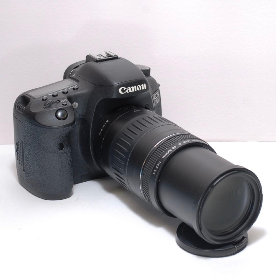 超望遠レンズデビュー✨Canon EOS 7D✨ダブルレンズ✨ストロボ付