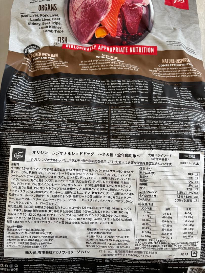 国内正規品　Orijen Regional Red ドッグフード 2kg