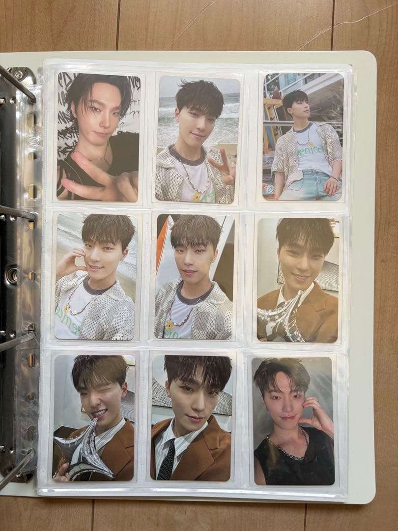 seventeen セブチ ディノ DINO まとめ売り