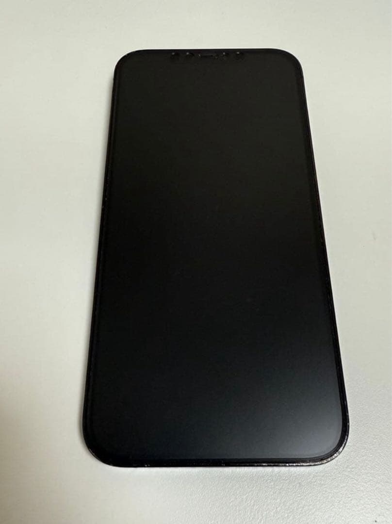 香港版 SIMフリー iPhone 12 Pro Max 256GB