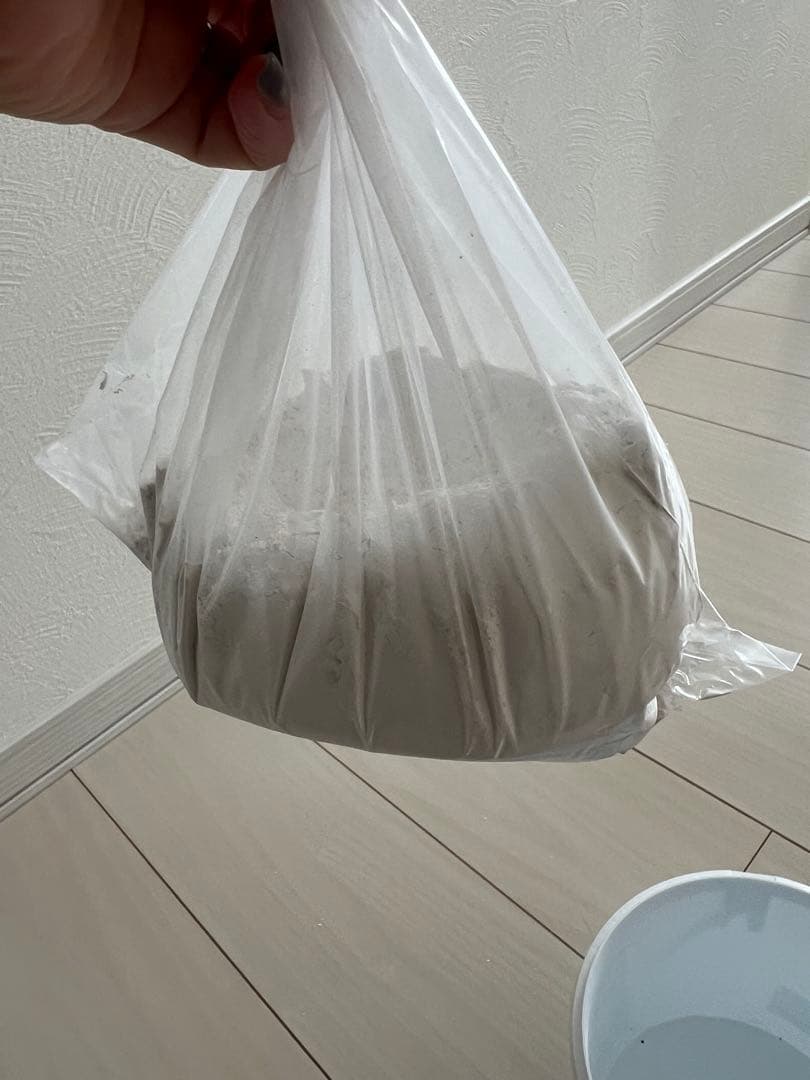 ジェスモナイト。まとめ売り