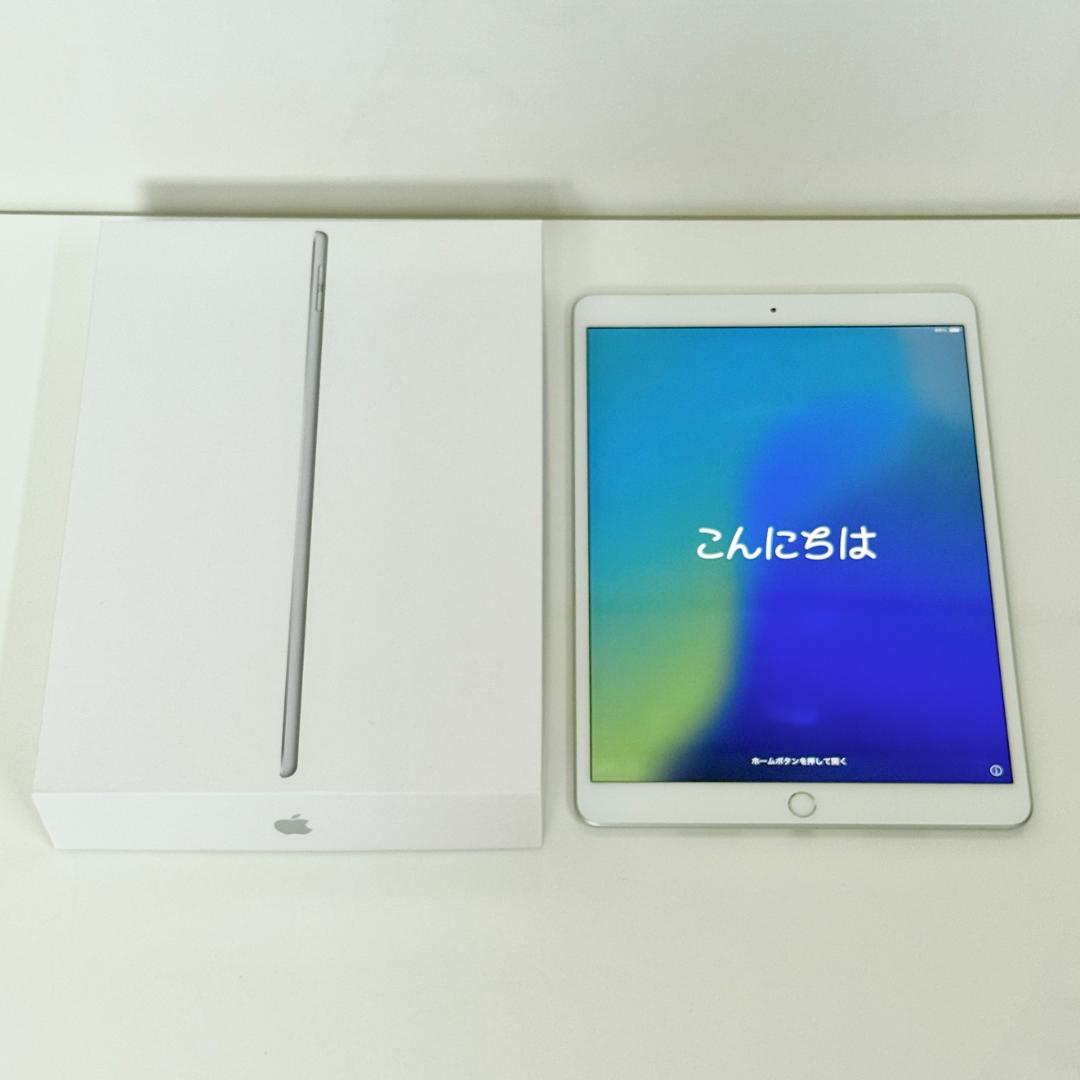 iPad Air 第3世代 Wi-Fi + Cellular 画面焼け有