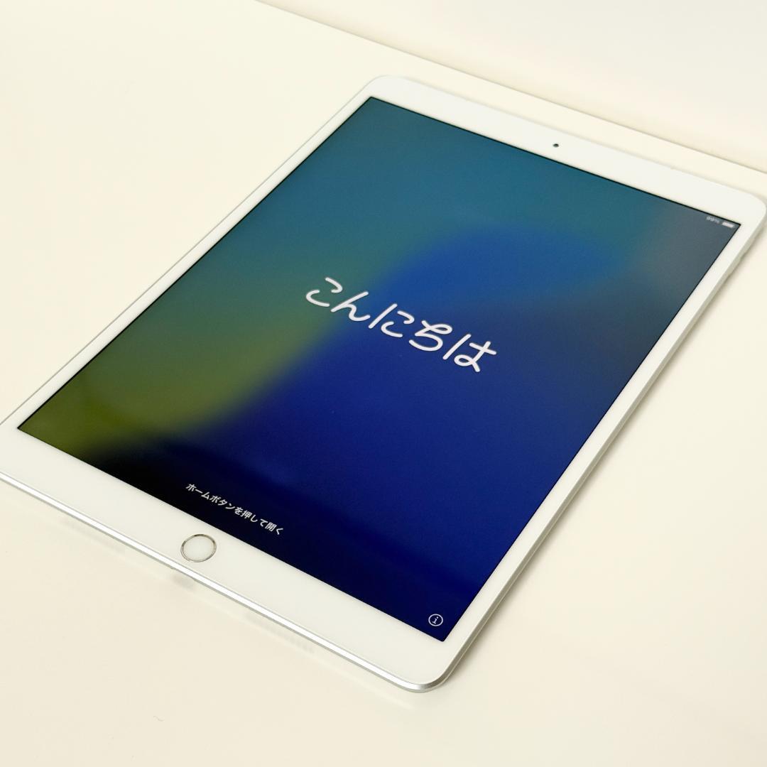 iPad Air 第3世代 Wi-Fi + Cellular 画面焼け有