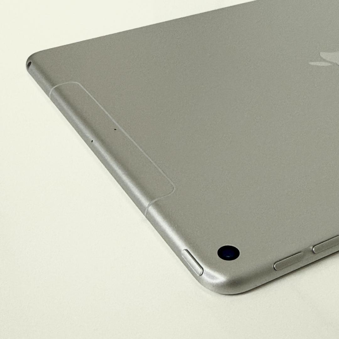 iPad Air 第3世代 Wi-Fi + Cellular 画面焼け有