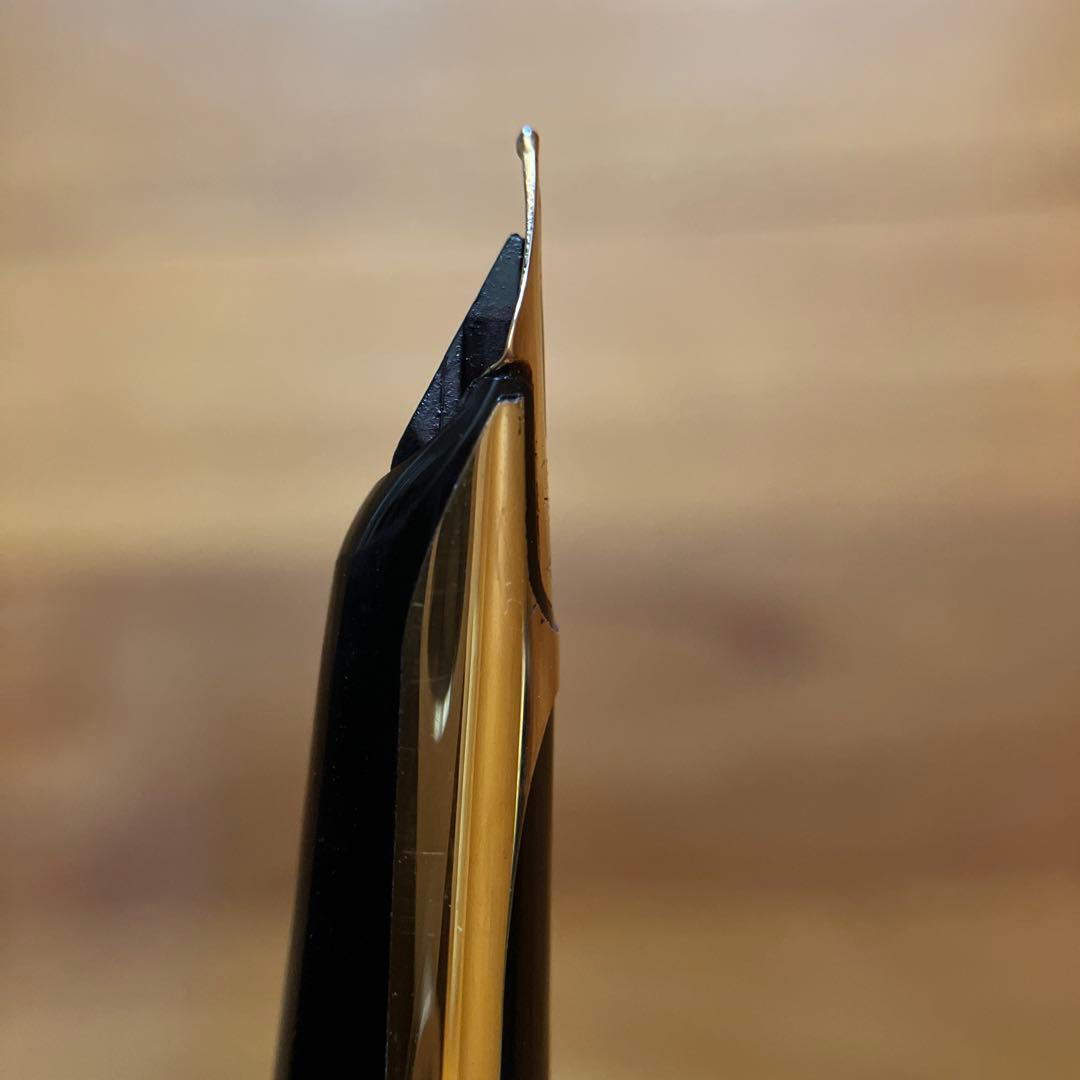 WATERMAN C/F PLAQUE ORG 万年筆 18K 750 モアレ？