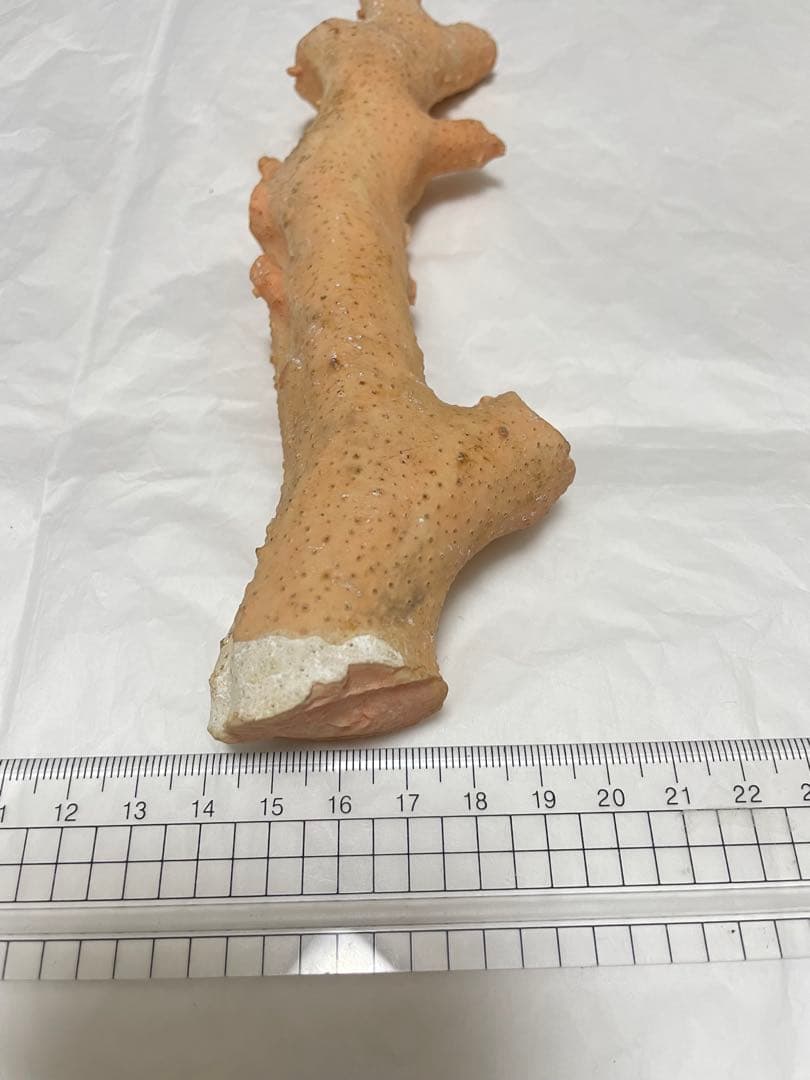 珊瑚サンゴ、桃珊瑚、ピンク珊瑚原木の置物
