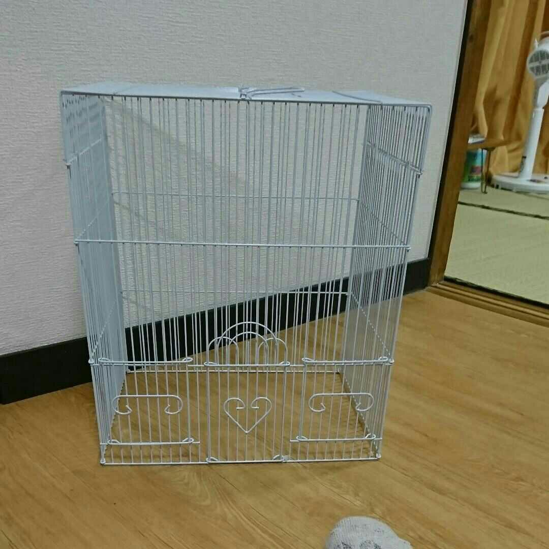 セキセイインコ、オカメインコケージ