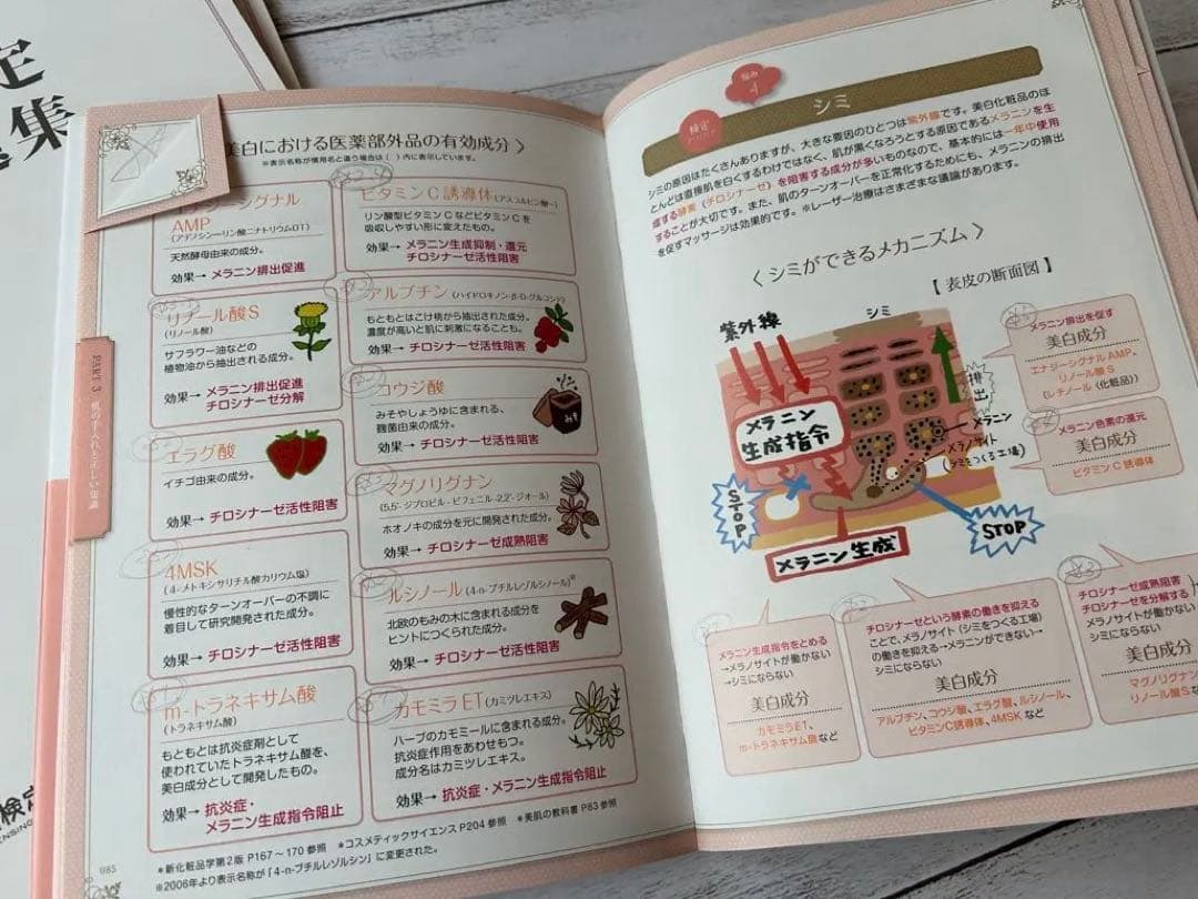 Ledom 美容専門学校 メイク セット 教材