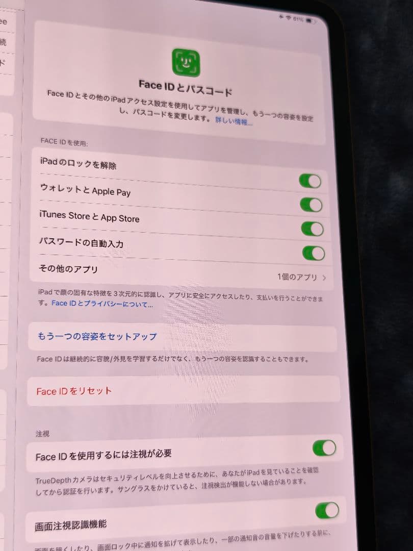 Ipad pro 13インチM4 チップ256gb Wifi Cellular