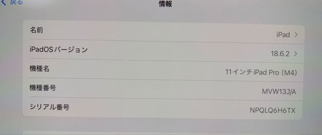 iPad Pro（M4） 11インチ 第5世代 Apple Pencil Pro