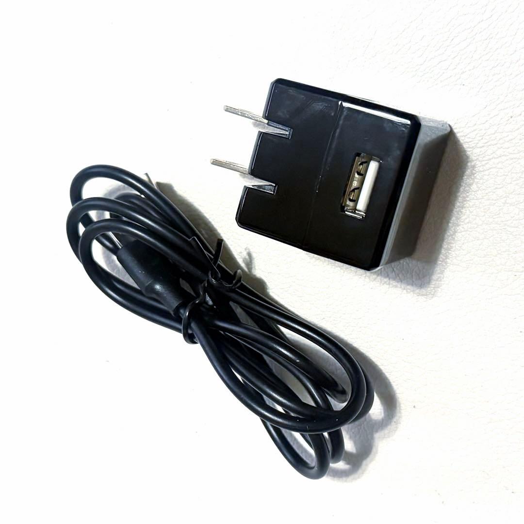10.【美品】ELECTRON★エレクトロン 電気バリブラシ