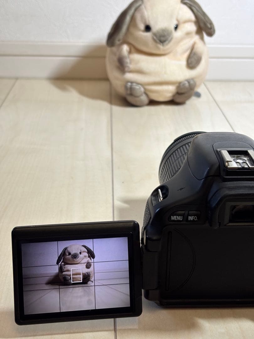 Canon EOS Kiss X5 デジタル一眼レフカメラ 動作OK