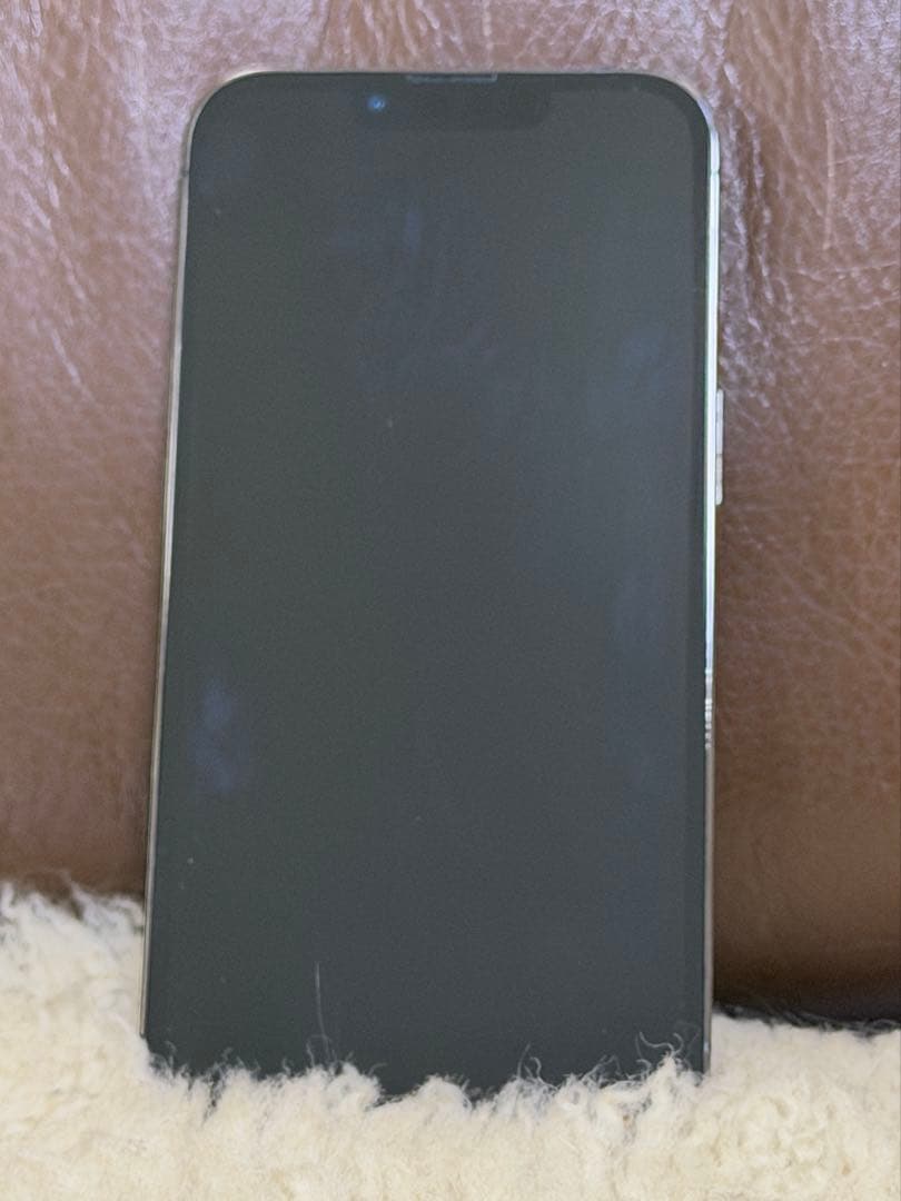 コーティング施工済Apple iPhone 13 Pro グラファイト