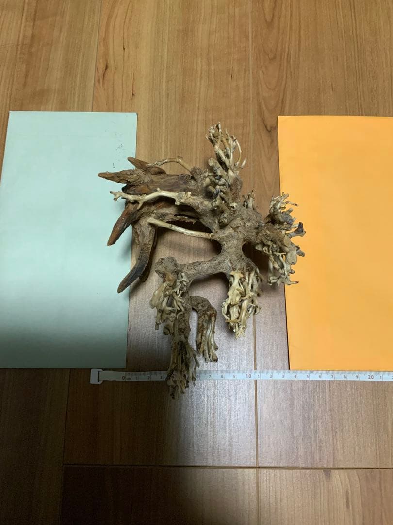 盆栽　流木　2本