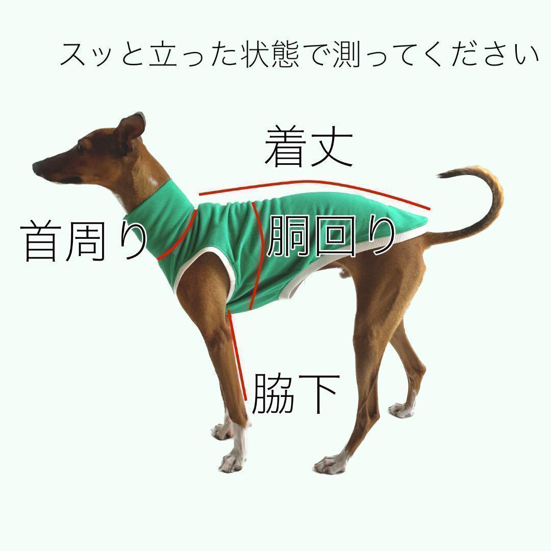 イタグレ　イタグレ服　シャツ　3点