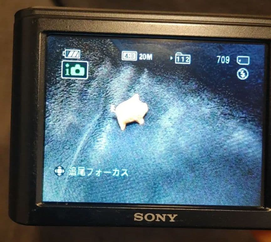 SONY Cyber-shot DSC-W810 動作確認済