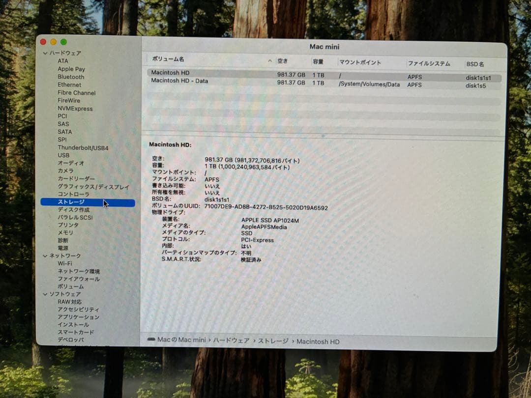 Mac mini 2018 1TB メモリ32GB 6コア Core i5