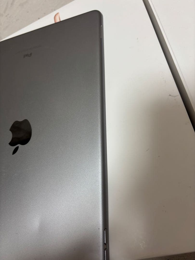 ぞ*び様 Apple iPad Pro (10.5インチ)本体 256GBバッテ