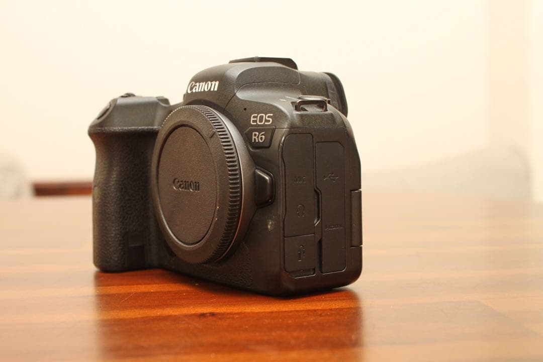 Canon EOS R6 即購入禁止