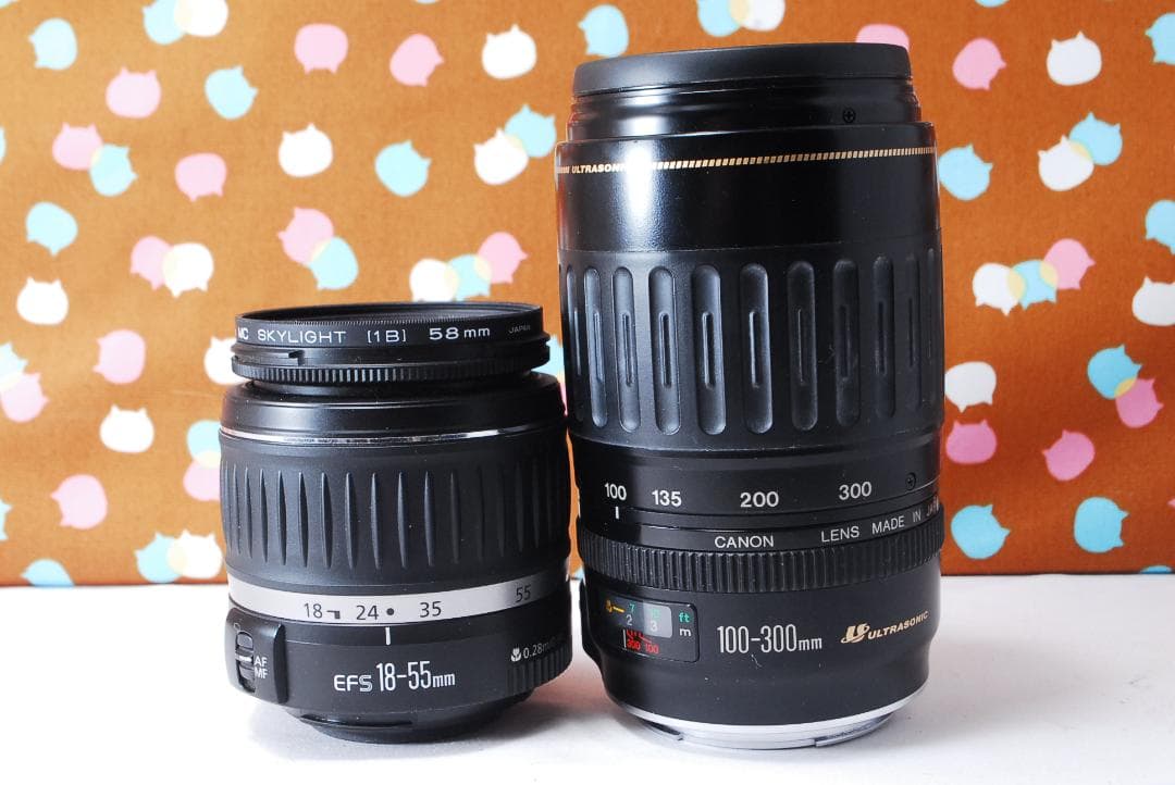 ✨お買い得価格✨Canon Kiss Digital N ダブルレンズセット