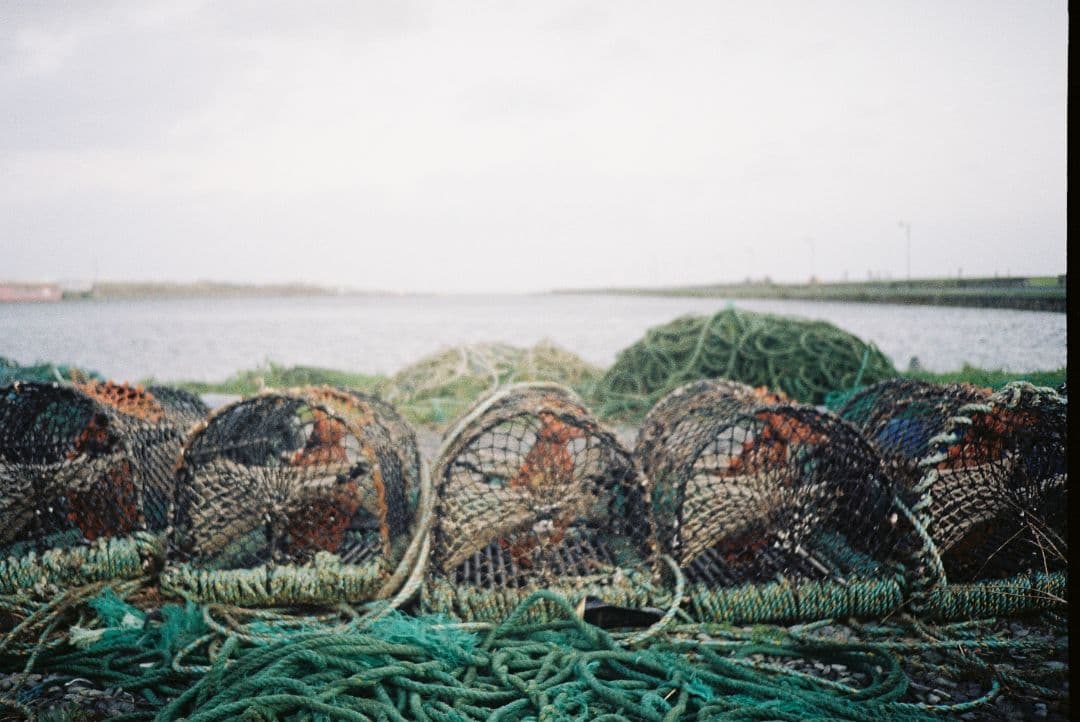 OLYMPUS XA-2 コンパクトフィルムカメラ