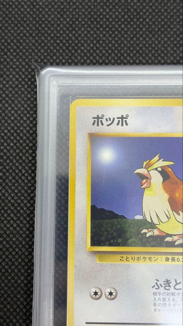 ポッポ 初版 旧裏 マークなし ARS10 PSA10相当【世界に3枚】