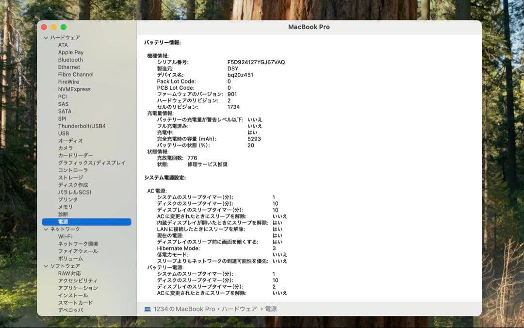 P*a様 Apple MacBook Pro 15 2019 i7/32GB/5