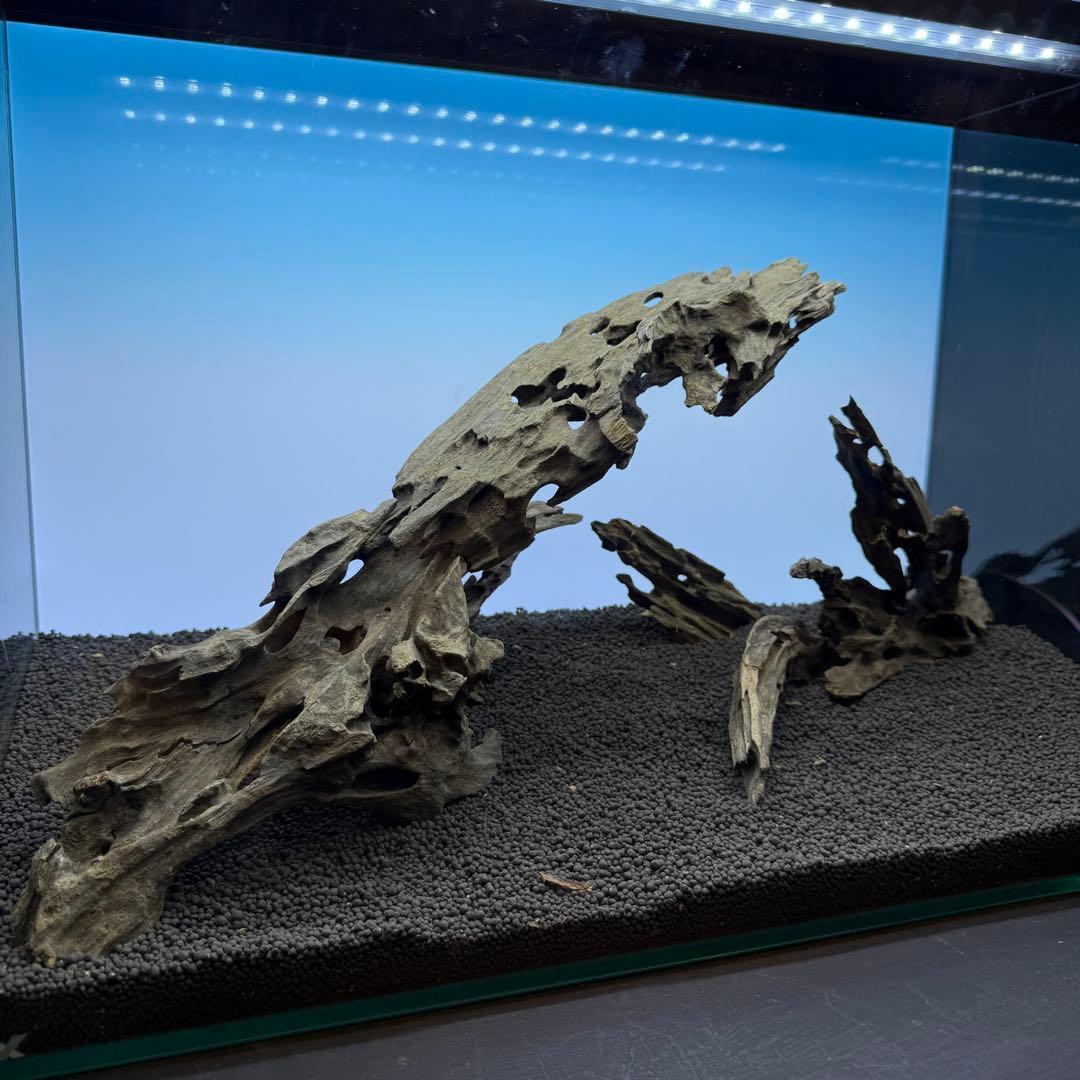 MMW-6631 マシンガンウッドレイアウトセット　60cm水槽用　流木