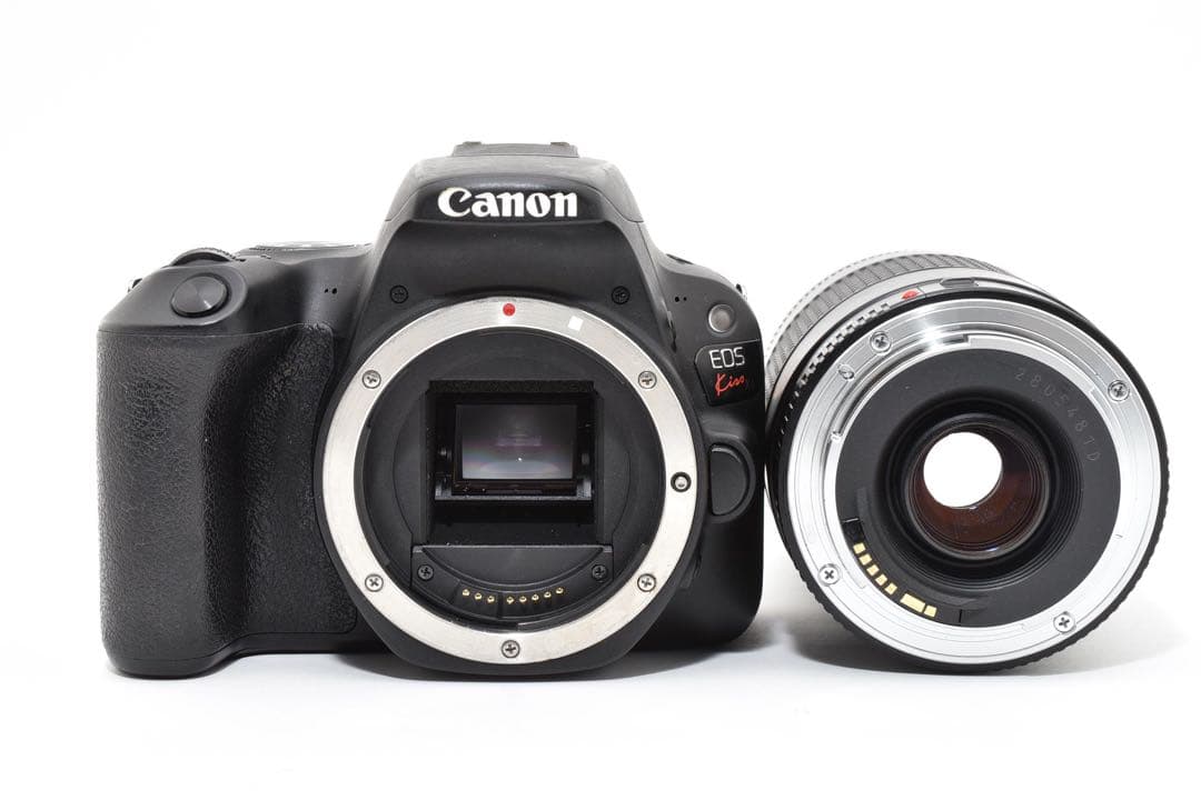 canon kiss x9/ Canon EF75-300mm F4-5.6 Ⅱ