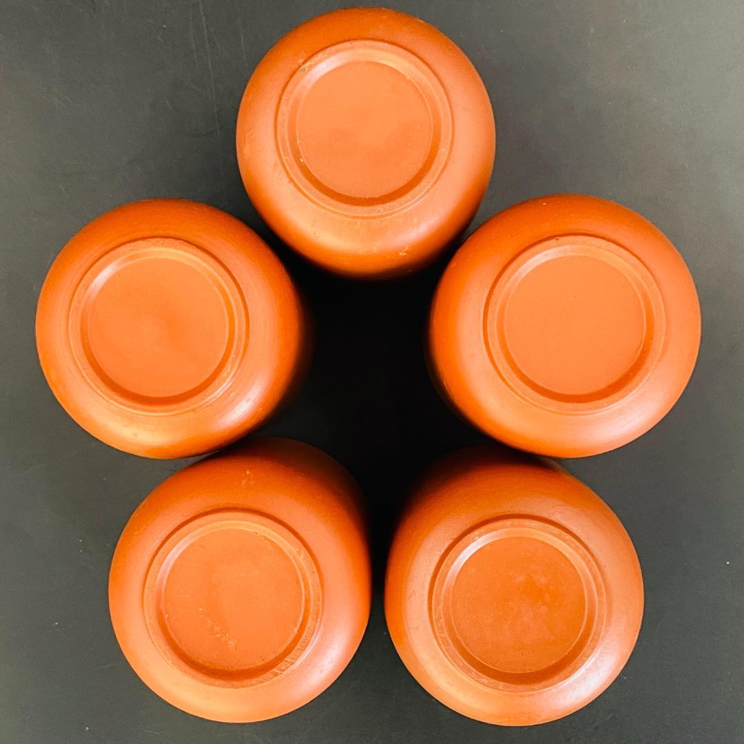 【常滑焼 朱泥 泰月】急須 湯呑5客 茶器セット 煎茶器 在銘 陶印R8SA14