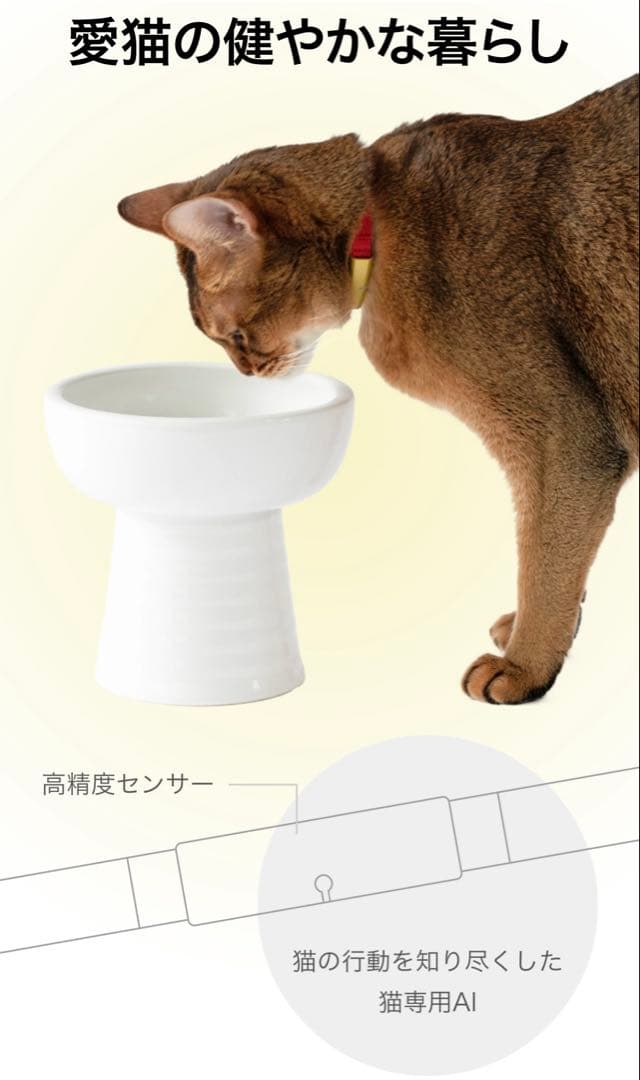 catlog 新品