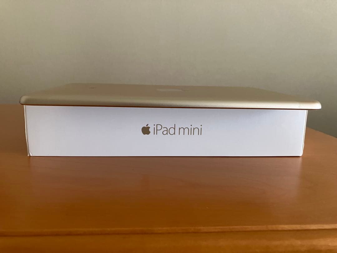 ALEXIA:ケンスケ iPad mini4 Wi-Fi 64GB