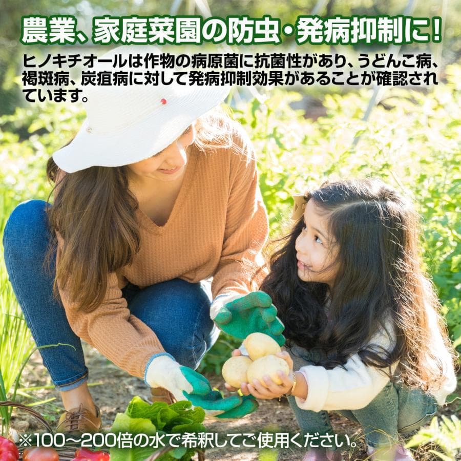 べニーズ ヒバの恵みヒノキチオール２０L 檜 桧 抗菌 除菌 防虫 防ダニ