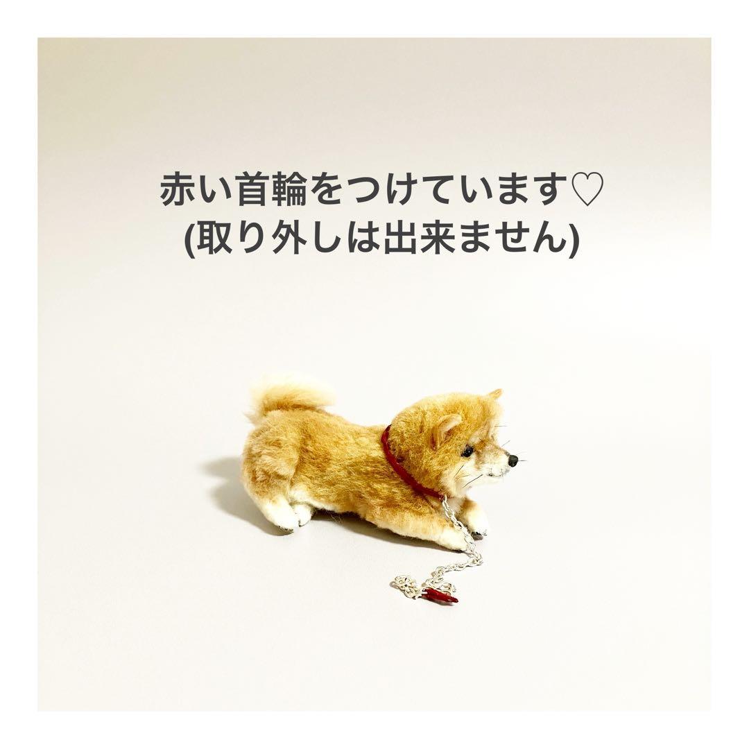 送料無料｜羊毛フェルト柴犬｜柴犬｜豆柴｜ブライス｜カスタムブライス｜ドールハウス