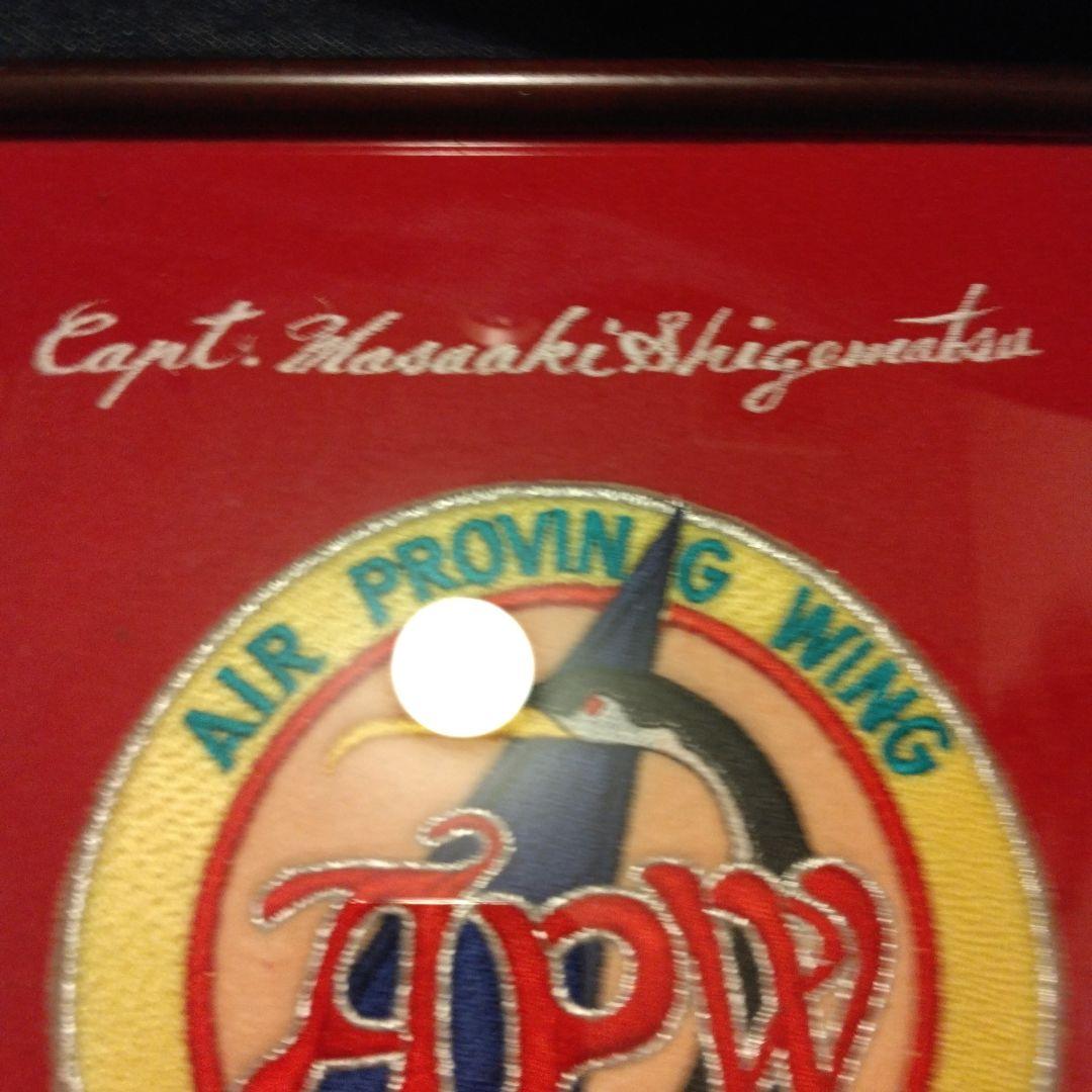 AIR PROVING WING 　ワツペン