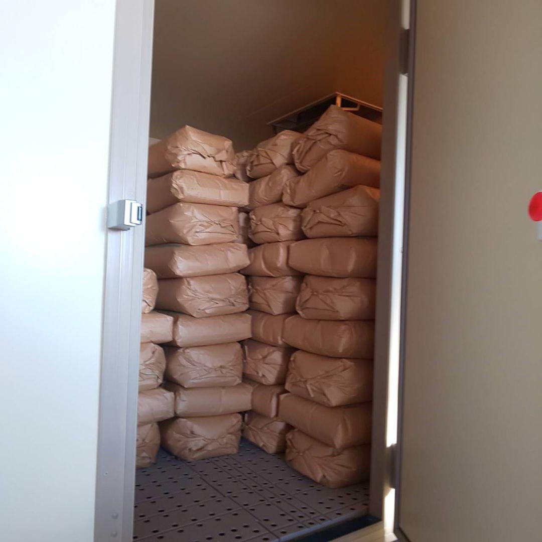 モンブラン様 農薬不使用 玄米 5kg