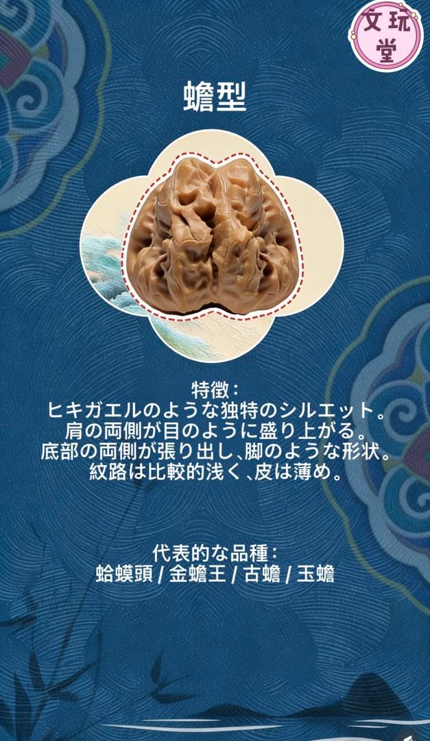 文玩くるみの特徴を知る：10種類の桩型と代表的な品種