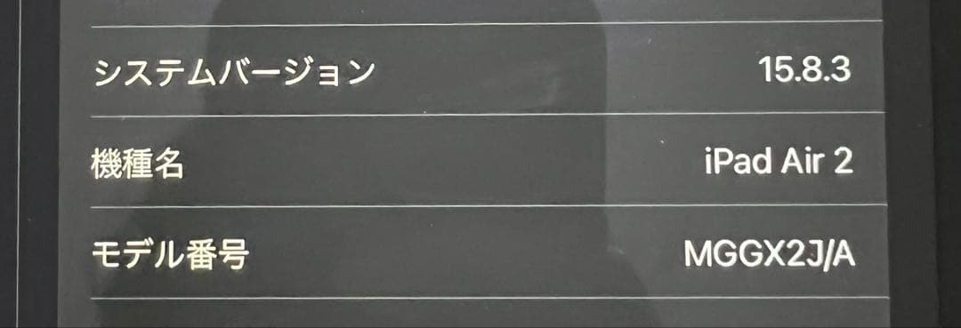 iPad Air2 第2世代 16GB SoftBank