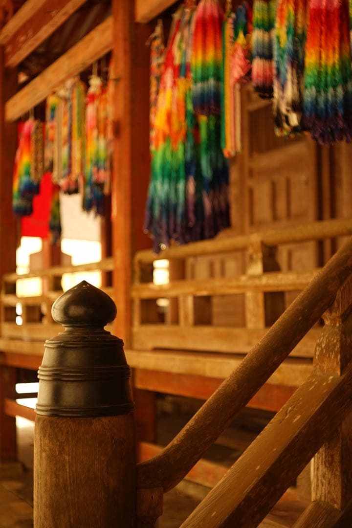 作例付　Carl Zeiss Tessar 50mm F2.8 M42 管mpr