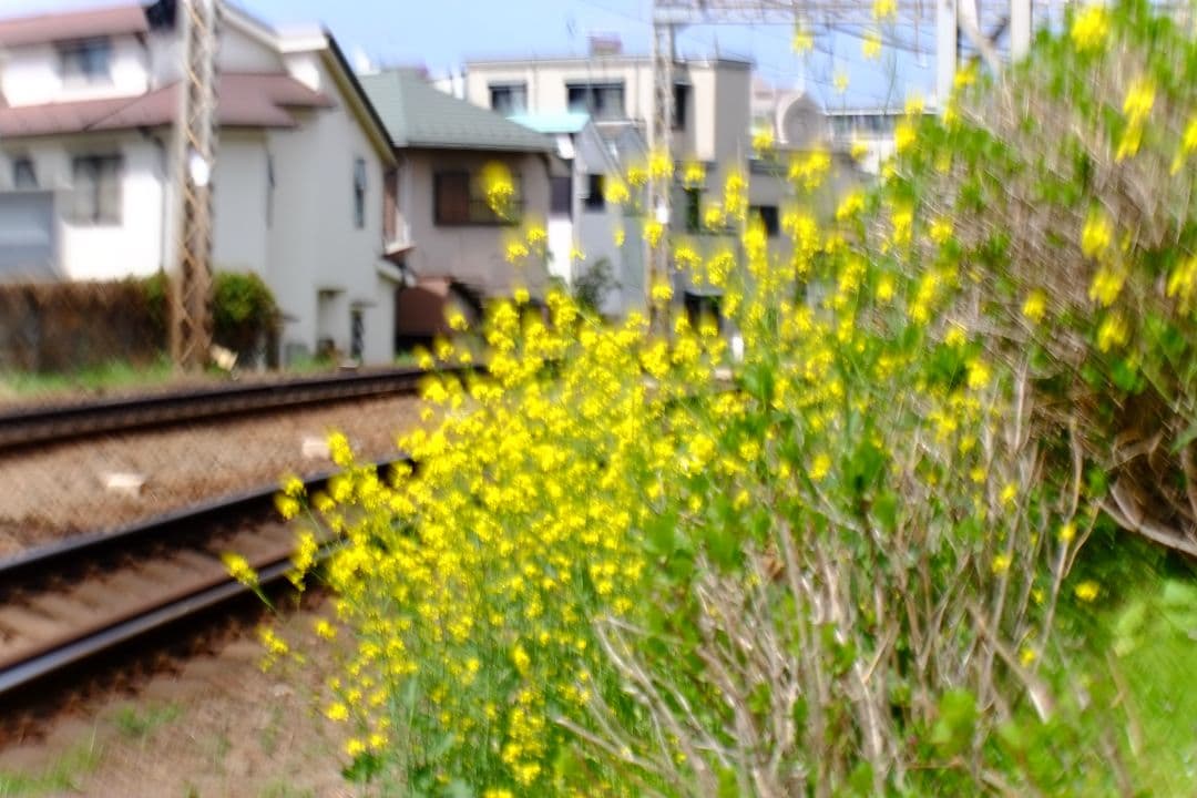TAMRON AF 70-200mm f/2.8 レンズ ジャンク