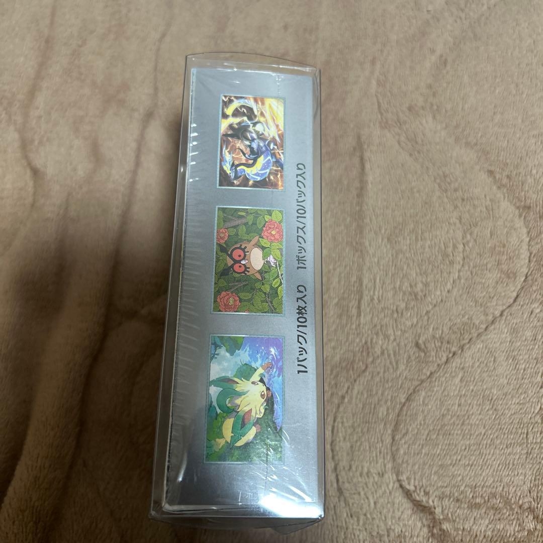 ポケモンテラスタルフェスexBOX未開封シュリンク付き