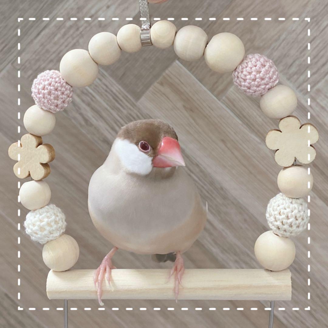 【にこ☺︎】ことりのあそびば