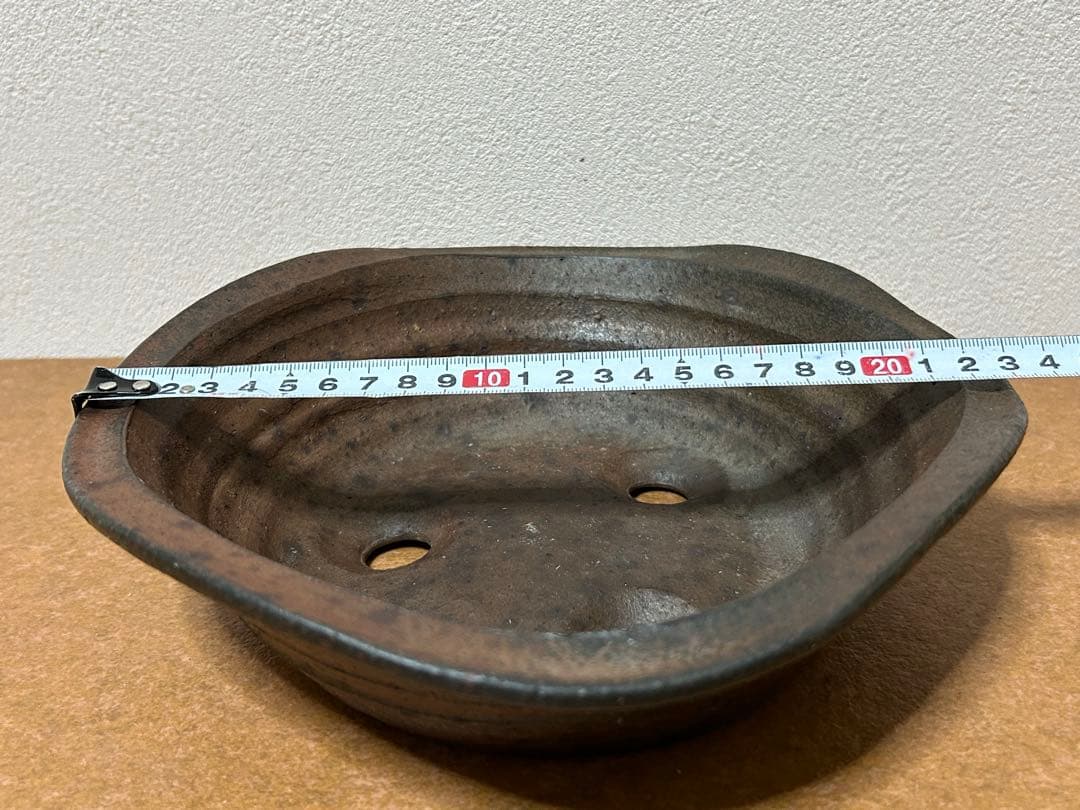 凡才　盆栽鉢　小品盆栽　山野草