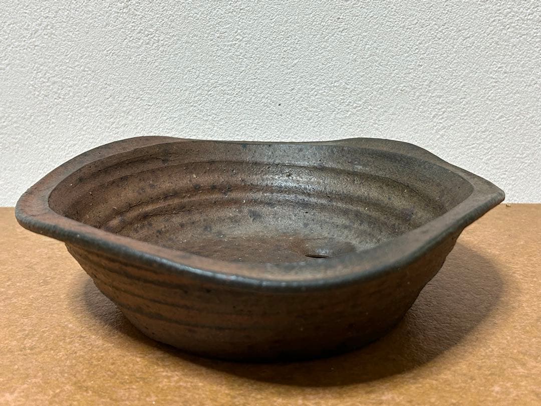凡才　盆栽鉢　小品盆栽　山野草