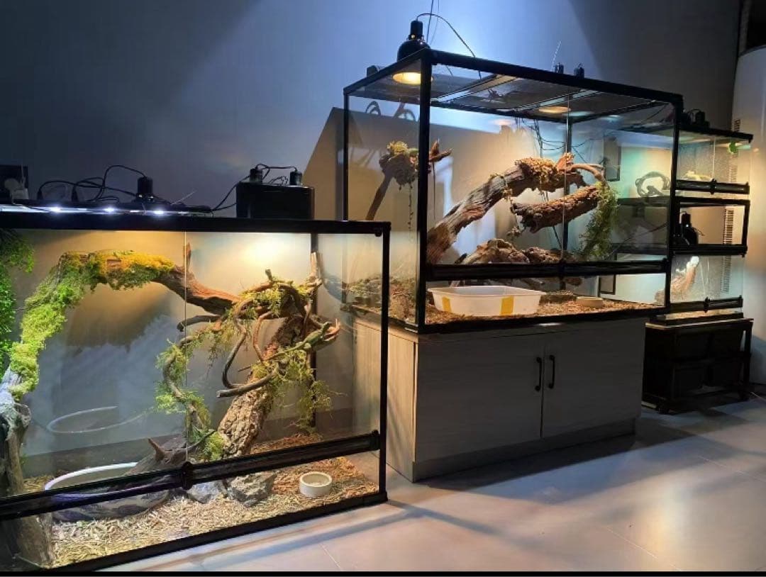 ガラス飼育ケージ、爬虫類両生類飼育ケージ60x45x80cmオリジナル送料込み