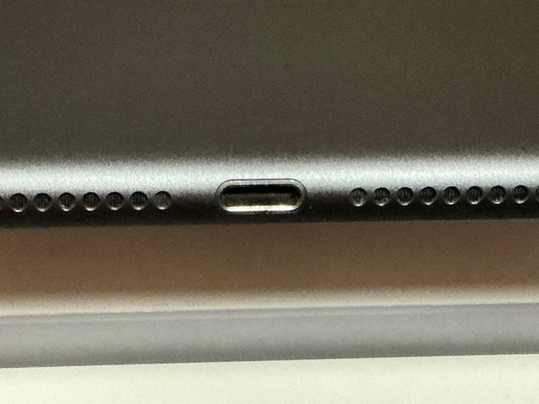 iPad本体 Apple iPad mini5 64GB WiFi+Cellular