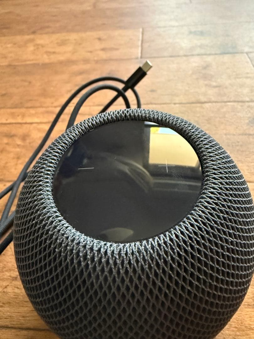 Apple Pod mini A2374 スペースグレイ