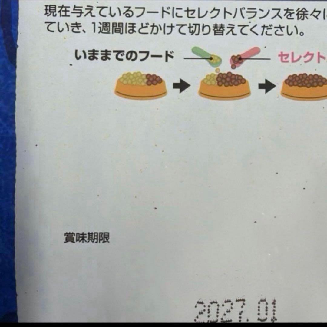 アダルトチキン中粒 3kg×2個