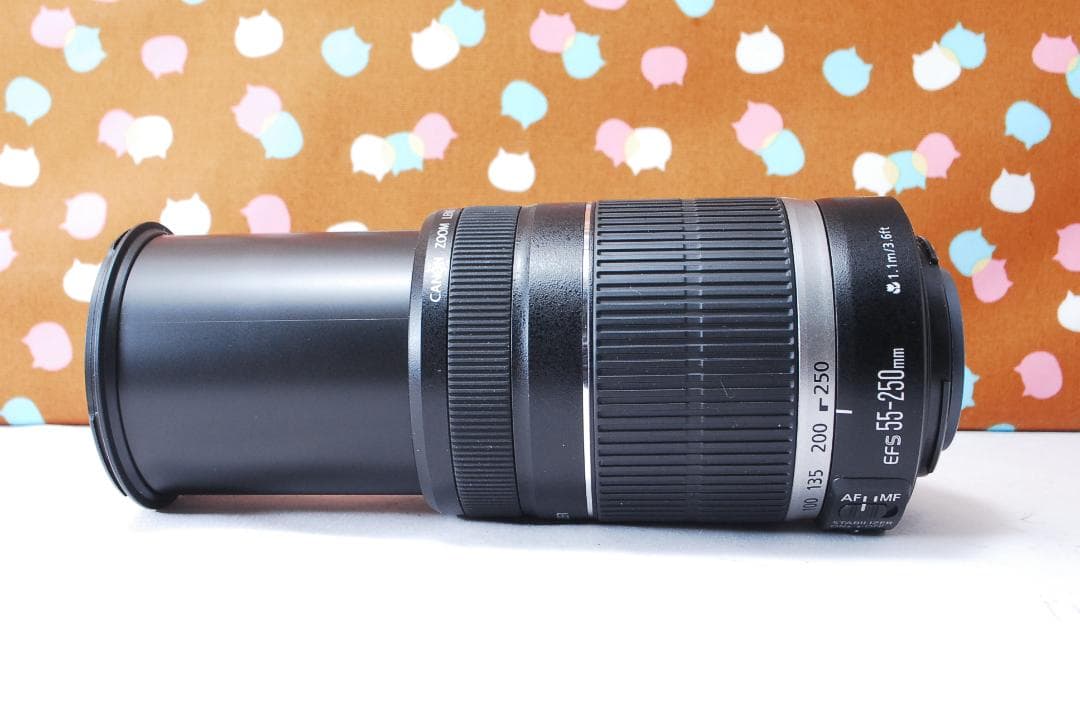 ✨手振れ補正✨美品✨Canon EF-S 55-250mm F4-5.6 IS