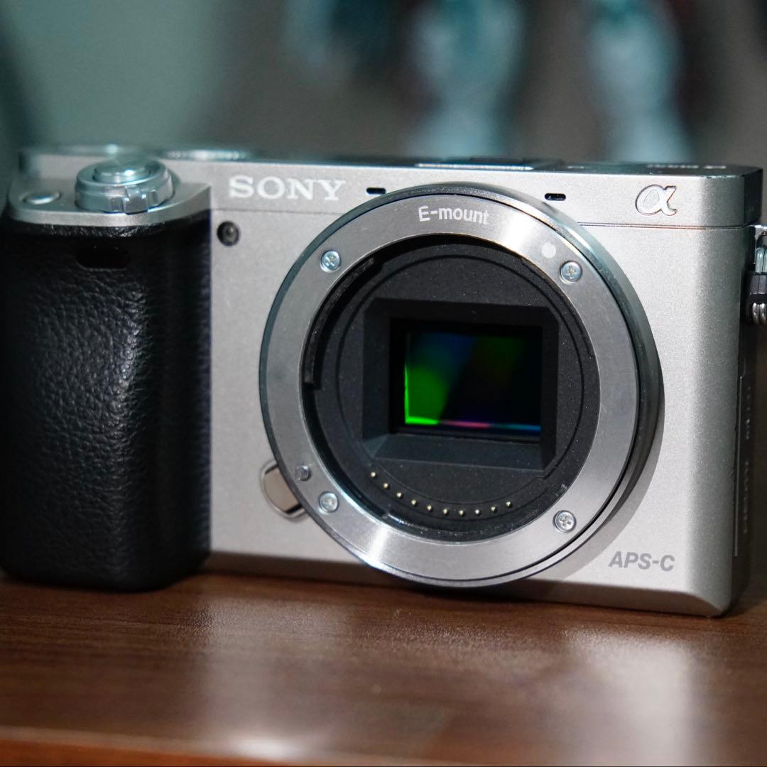 SONY α6000 レンズキット バッテリー2個 英語変更可